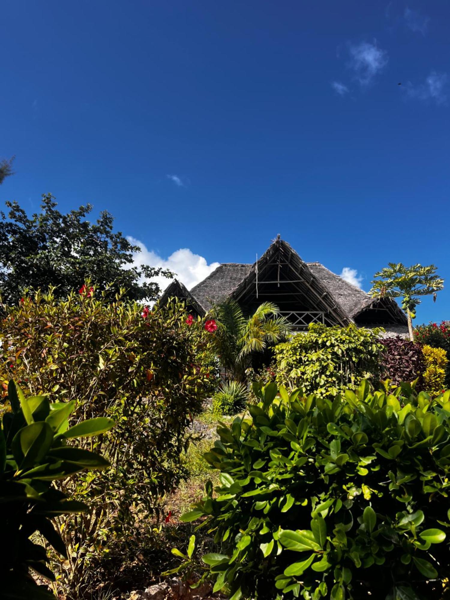 Sazani Beach Lodge And Tidal Lounge Nungwi Exteriér fotografie