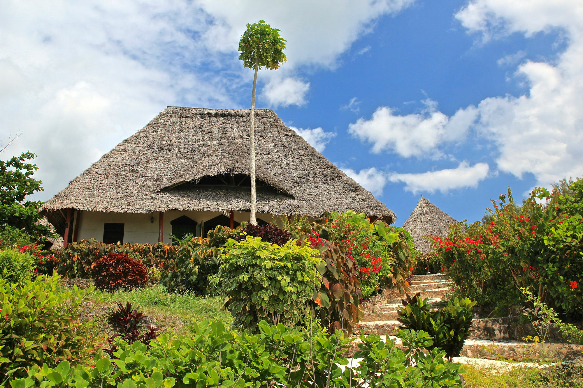 Sazani Beach Lodge And Tidal Lounge Nungwi Exteriér fotografie